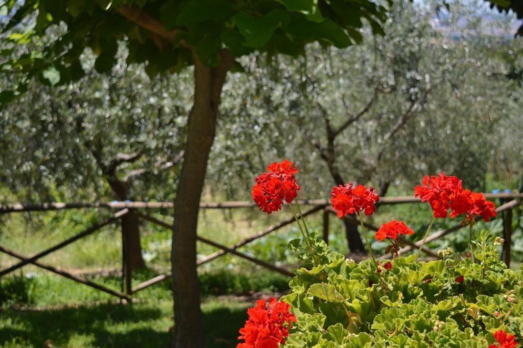 Cardinal Girolamo Villa Montefalco Buitenkant foto